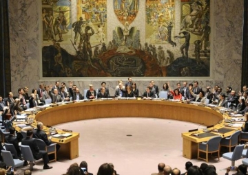 Security Council Resolution 2602: Foreign Minister Welcomes 